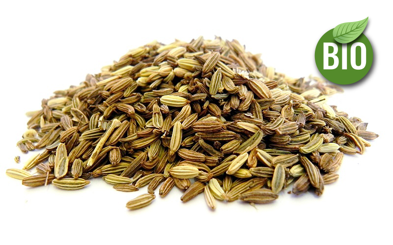 Fenchelfrüchte Bio süss